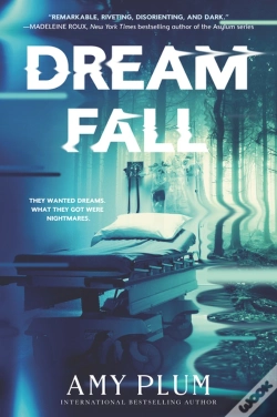 Capa do artigo Dreamfall