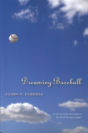 Dreaming Baseball - Preview