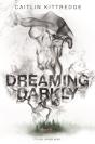 Dreaming Darkly - Preview