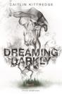 Dreaming Darkly - Preview