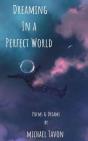 Dreaming In A Perfect World - Preview