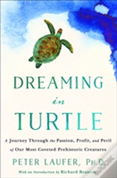 Dreaming In Turtle