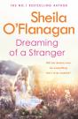 Dreaming Of A Stranger - Preview