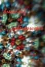 Dreaming Of Kaleidoscopes - Preview