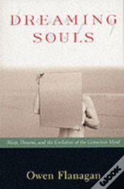 Capa do artigo Dreaming Souls