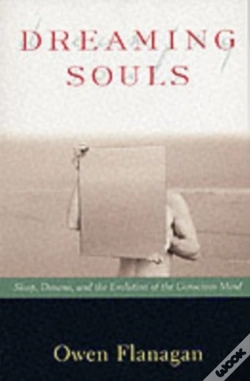 Capa do artigo Dreaming Souls
