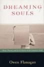 Dreaming Souls - Preview