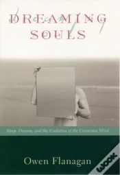 Capa do artigo Dreaming Souls