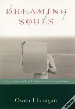 Capa do artigo Dreaming Souls