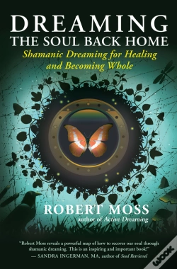 Capa do artigo Dreaming The Soul Back Home