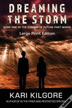 Capa do artigo Dreaming The Storm