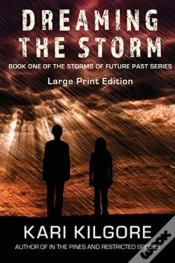 Capa do artigo Dreaming The Storm