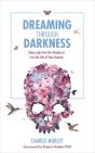 Dreaming Through Darkness - Preview