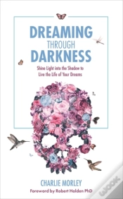 Capa do artigo Dreaming Through Darkness