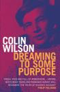 Dreaming To Some Purpose - Preview