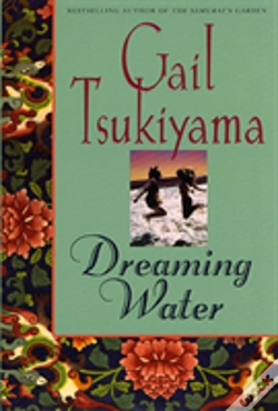 Capa do artigo Dreaming Water