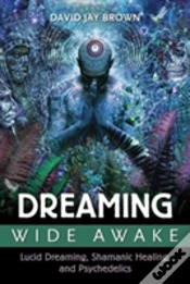 Capa do artigo Dreaming Wide Awake