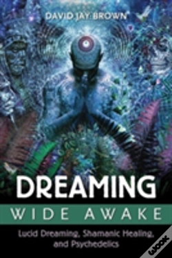 Capa do artigo Dreaming Wide Awake