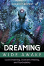 Dreaming Wide Awake - Preview