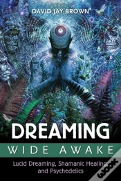 Capa do artigo Dreaming Wide Awake
