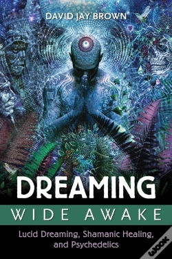 Capa do artigo Dreaming Wide Awake