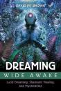 Dreaming Wide Awake - Preview