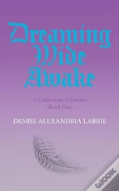 Dreaming Wide Awake