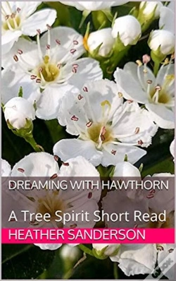 Capa do artigo Dreaming With Hawthorn