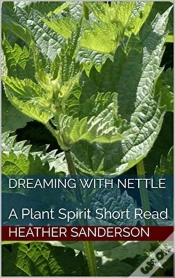 Capa do artigo Dreaming With Nettle