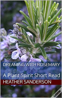 Capa do artigo Dreaming With Rosemary