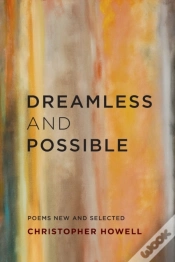 Capa do artigo Dreamless And Possible