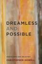Dreamless And Possible - Preview