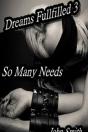 Dreams Fulfilled- 3- So Many Needs - Preview