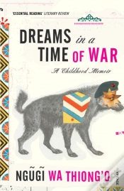 Capa do artigo Dreams In A Time Of War