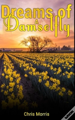 Capa do artigo Dreams Of A Damselfly