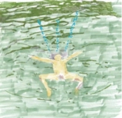 Capa do artigo Dreams Say, View, Create, Shadow Leads - Vinil