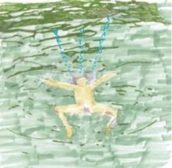 Capa do artigo Dreams Say, View, Create, Shadow Leads - Vinil