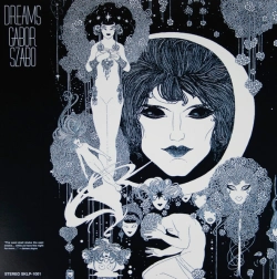 Capa do artigo Dreams - Vinil