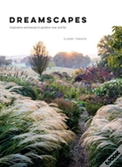 Capa do artigo Dreamscapes