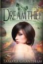 Dreamthief - Preview