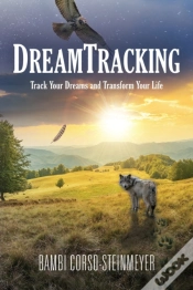 Capa do artigo Dreamtracking