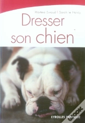 Dresser Son Chien