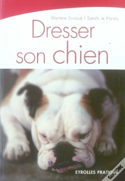 Capa do artigo Dresser Son Chien