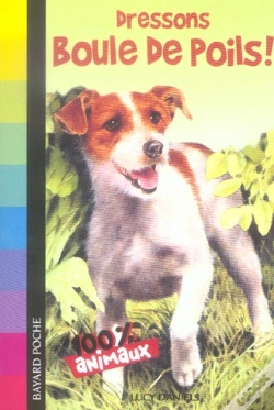 Capa do artigo Dressons Boule De Poils