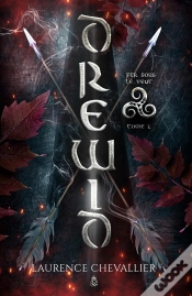 Capa do artigo Drewid, Tome 2 : Fer Sous Le Vent