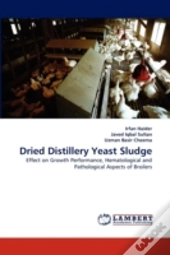 Dried Distillery Yeast Sludge