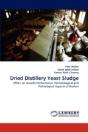 Dried Distillery Yeast Sludge - Preview