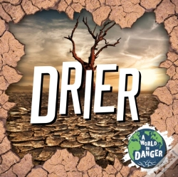 Capa do artigo Drier