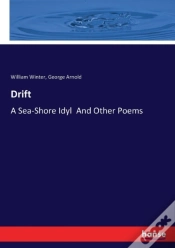 Capa do artigo Drift