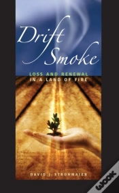 Capa do artigo Drift Smoke